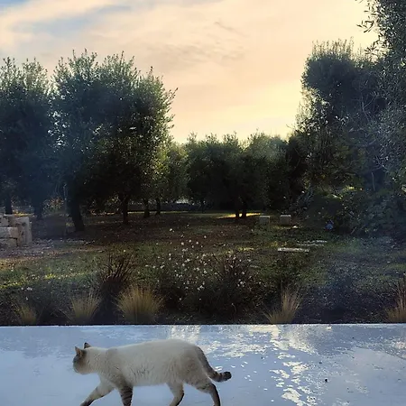 Casa 度假居 莫诺波利