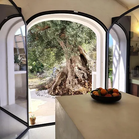 Casa מונופולי