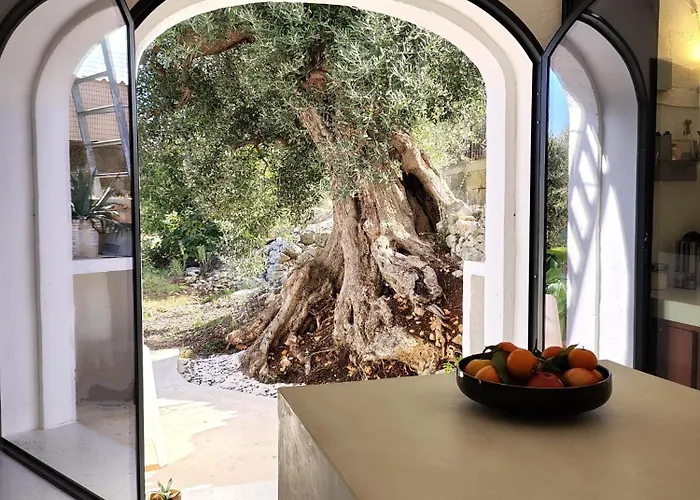 Casa מונופולי